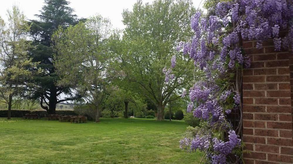 Petersons Armidale Winery And Guesthouse Dış mekan fotoğraf